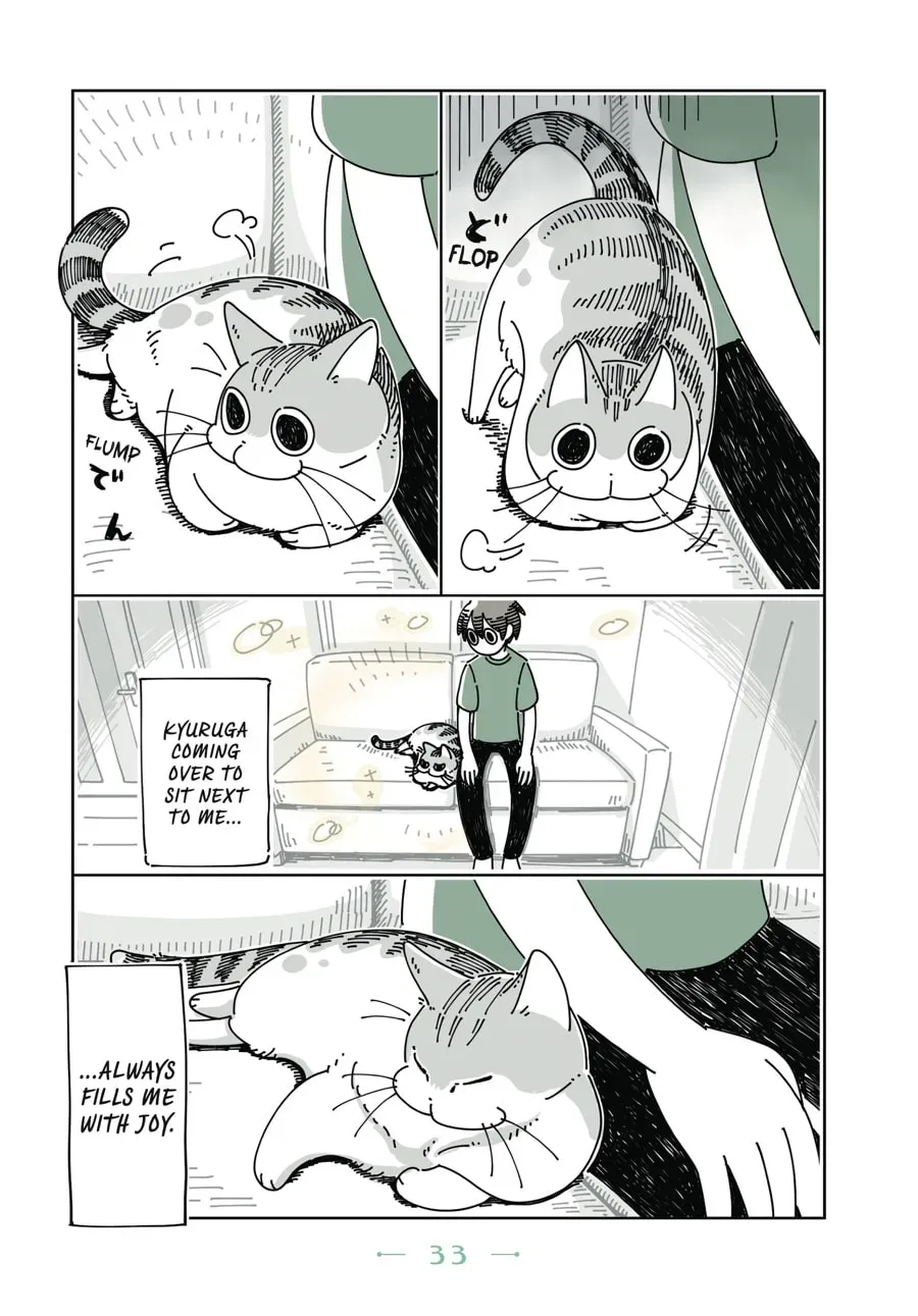 Read Nights With a Cat chapter 35 image 1 on Lezhin