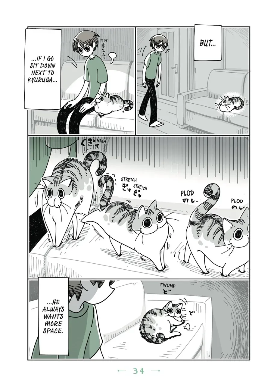 Read Nights With a Cat chapter 35 image 2 on Lezhin