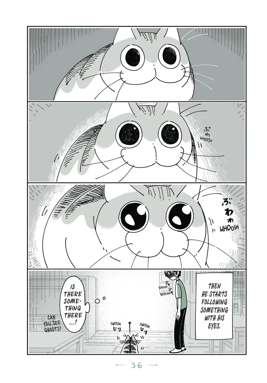 Read Nights With a Cat chapter 36 image 1 on Lezhin