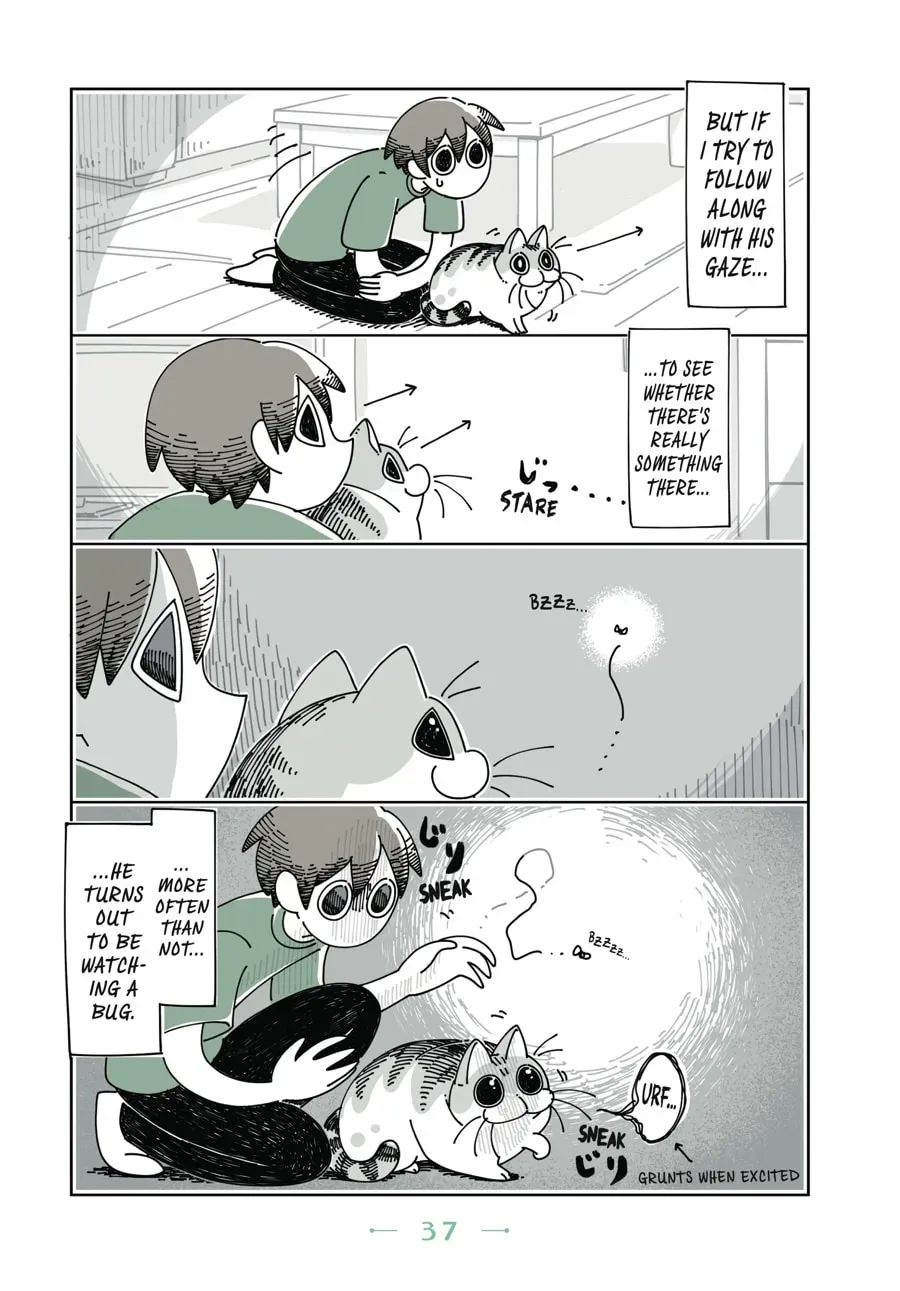 Read Nights With a Cat chapter 36 image 2 on Lezhin