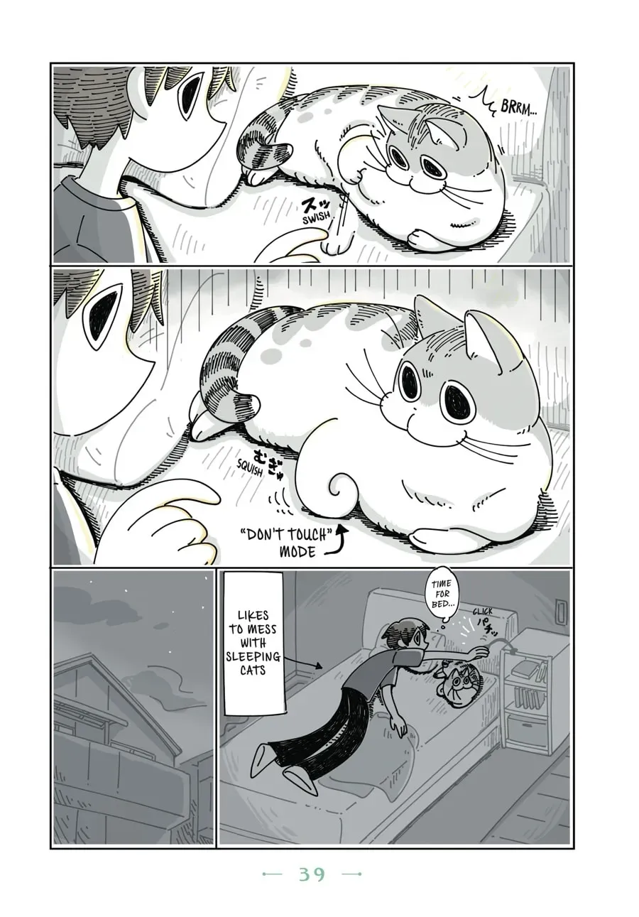 Read Nights With a Cat chapter 37 image 1 on Lezhin