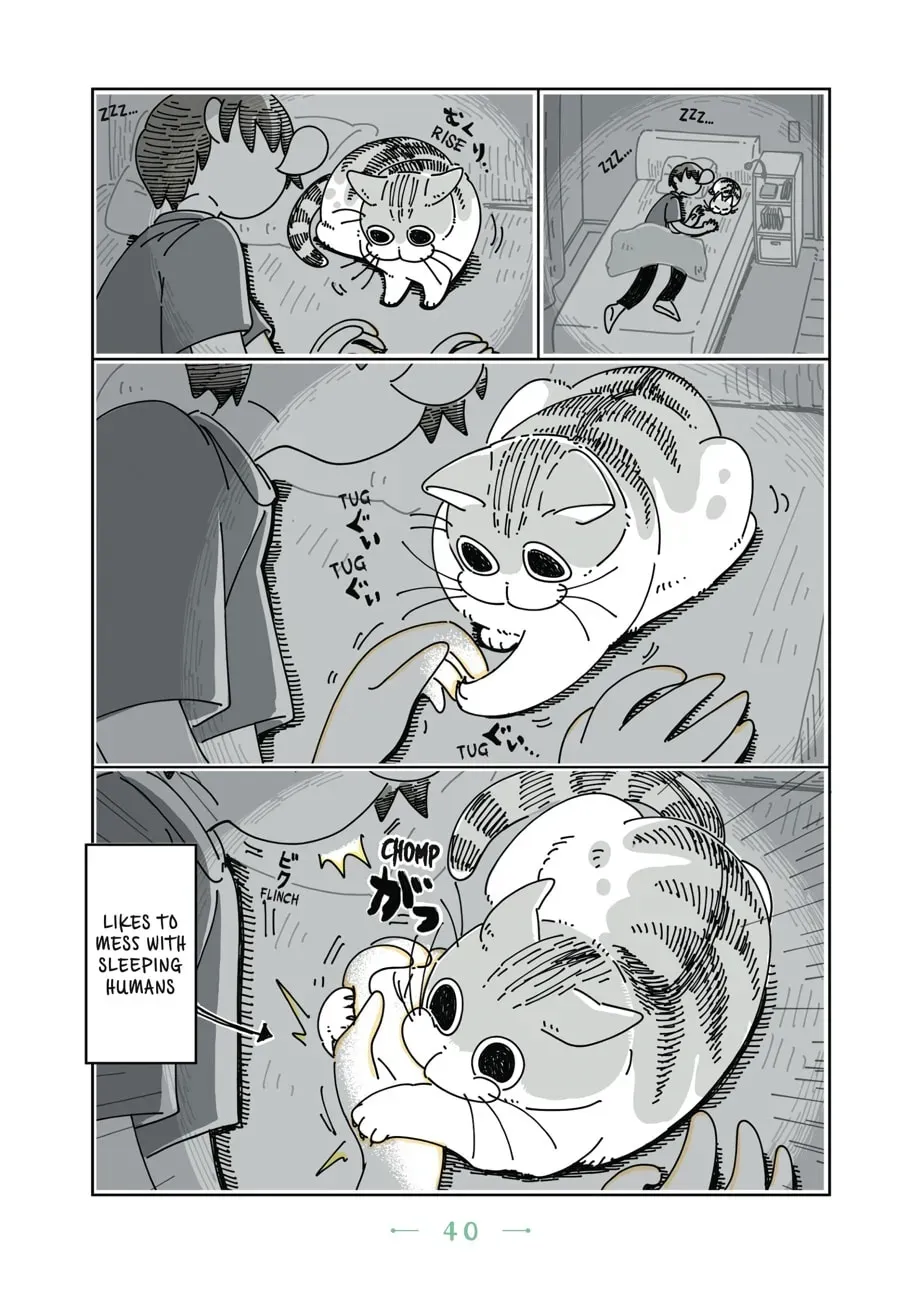 Read Nights With a Cat chapter 37 image 2 on Lezhin