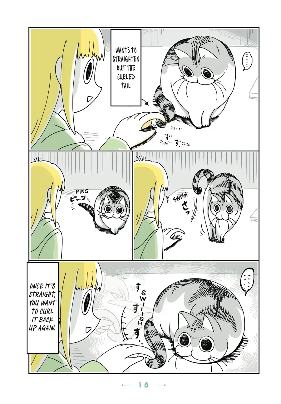 Read Nights With a Cat chapter 4.2 image 2 on Lezhin