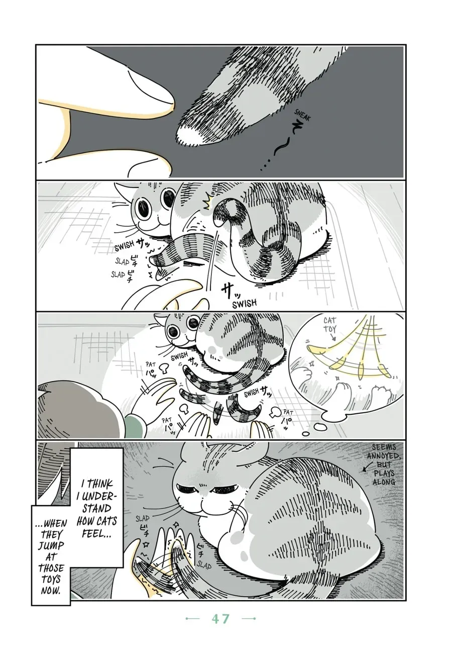 Read Nights With a Cat chapter 41 image 1 on Lezhin
