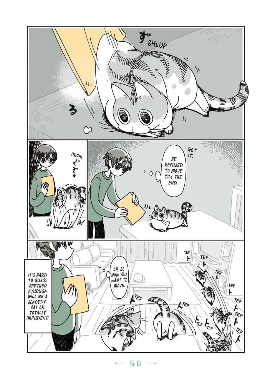Read Nights With a Cat chapter 42 image 2 on Lezhin