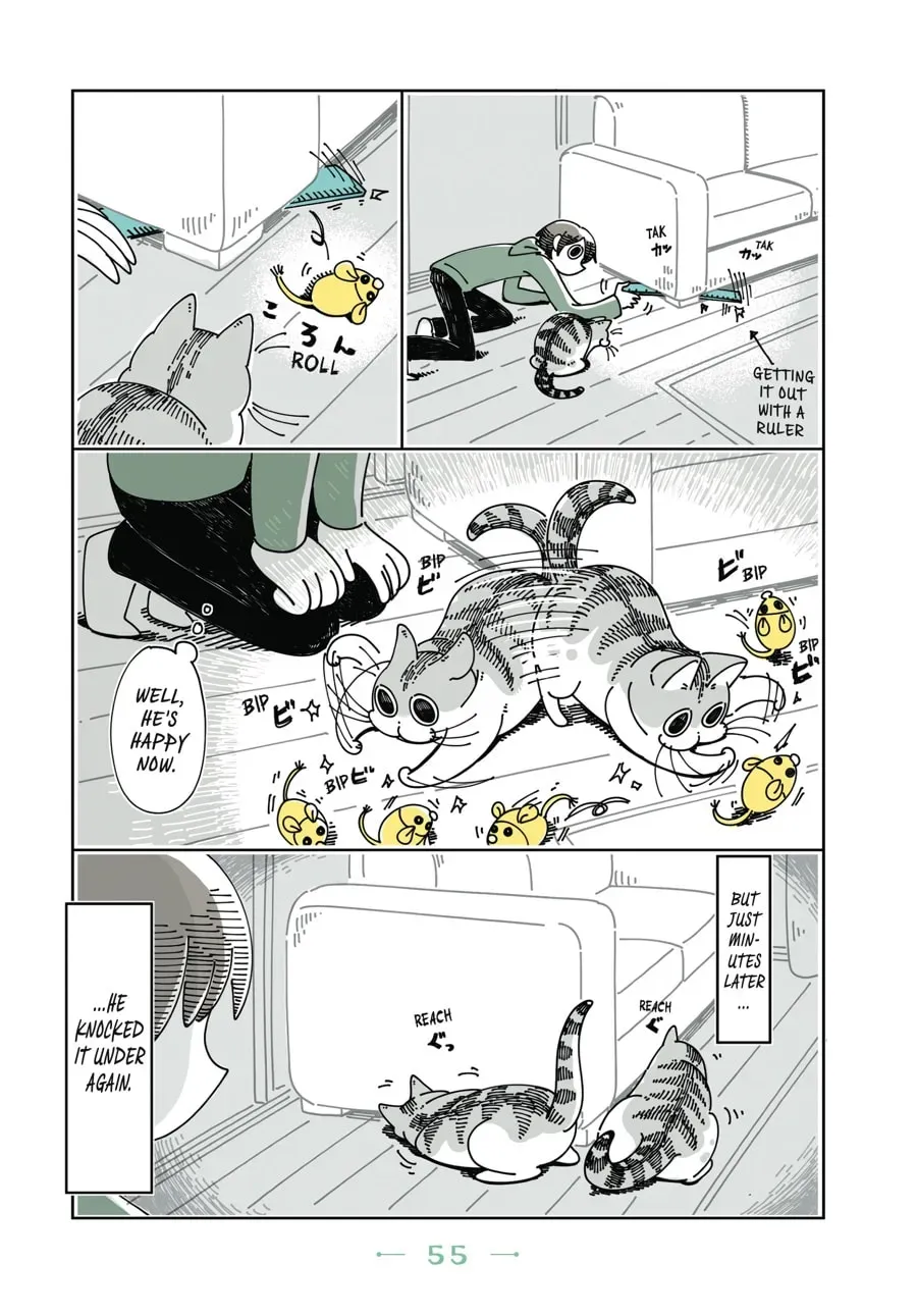 Read Nights With a Cat chapter 44 image 1 on Lezhin
