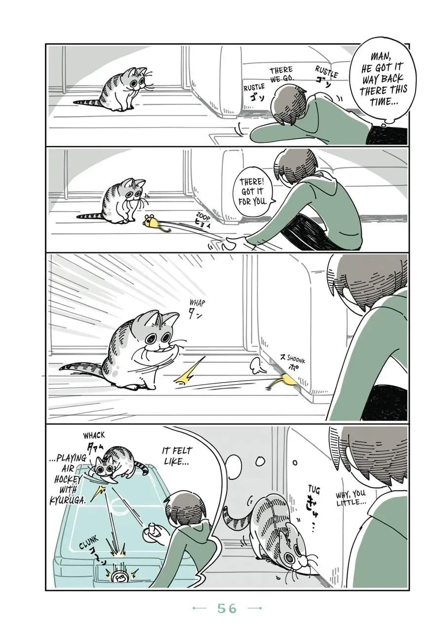 Read Nights With a Cat chapter 44 image 2 on Lezhin
