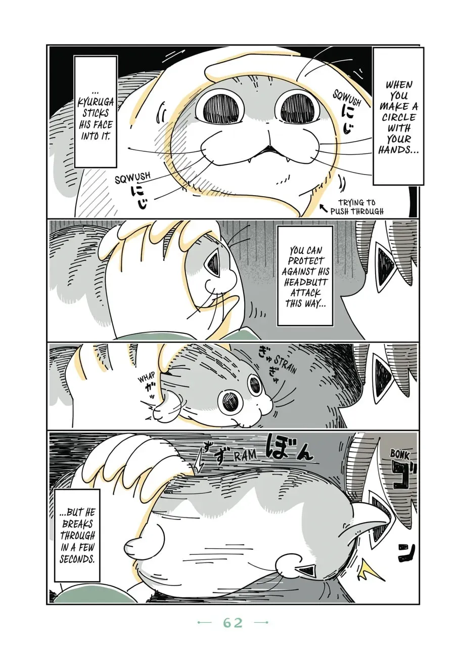 Read Nights With a Cat chapter 46 image 2 on Lezhin