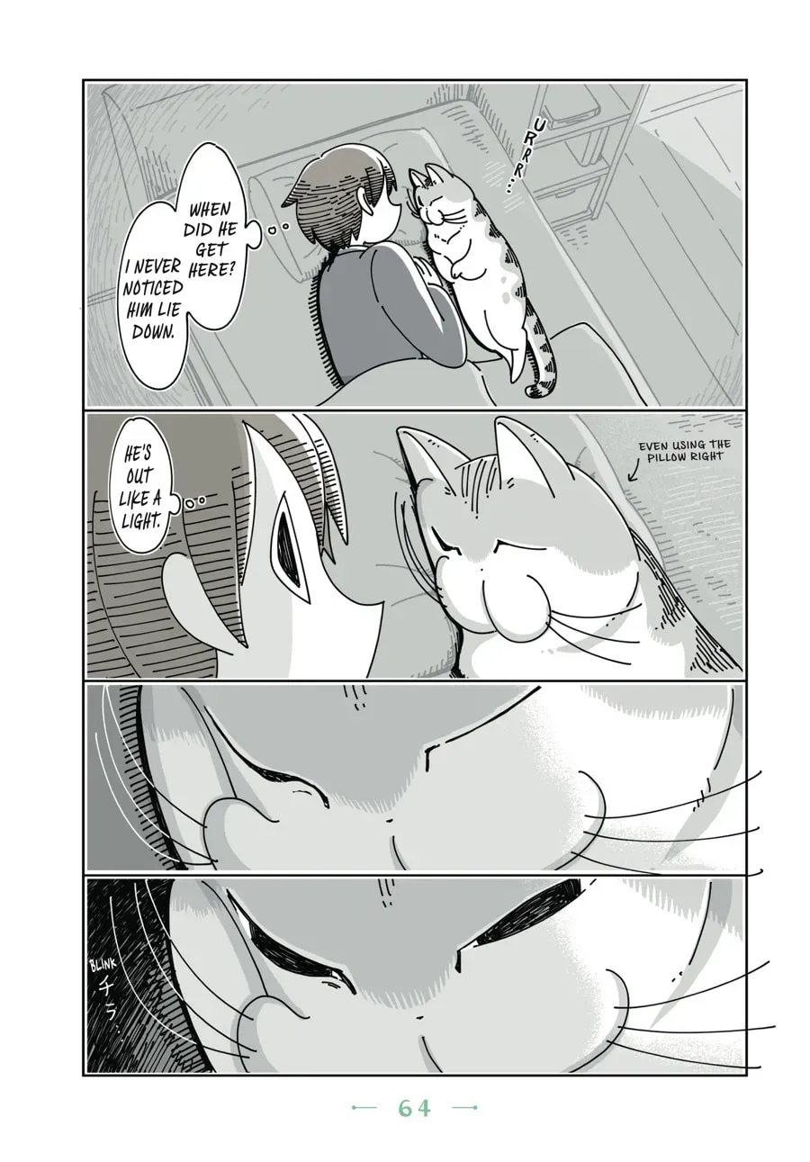 Read Nights With a Cat chapter 47 image 1 on Lezhin