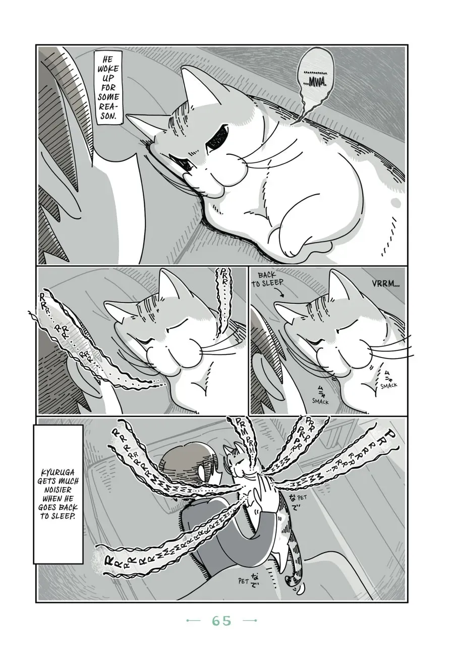 Read Nights With a Cat chapter 47 image 2 on Lezhin