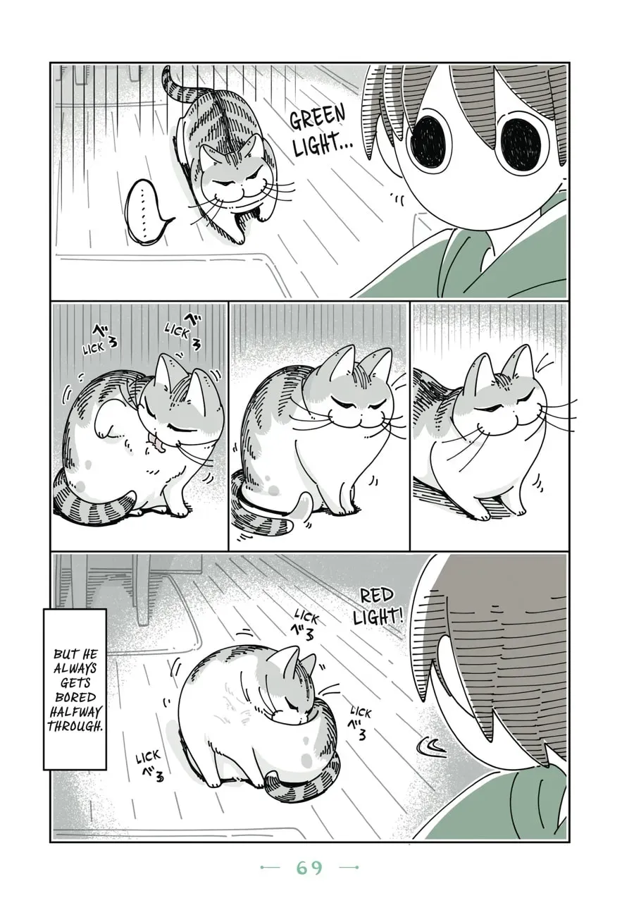 Read Nights With a Cat chapter 48 image 3 on Lezhin