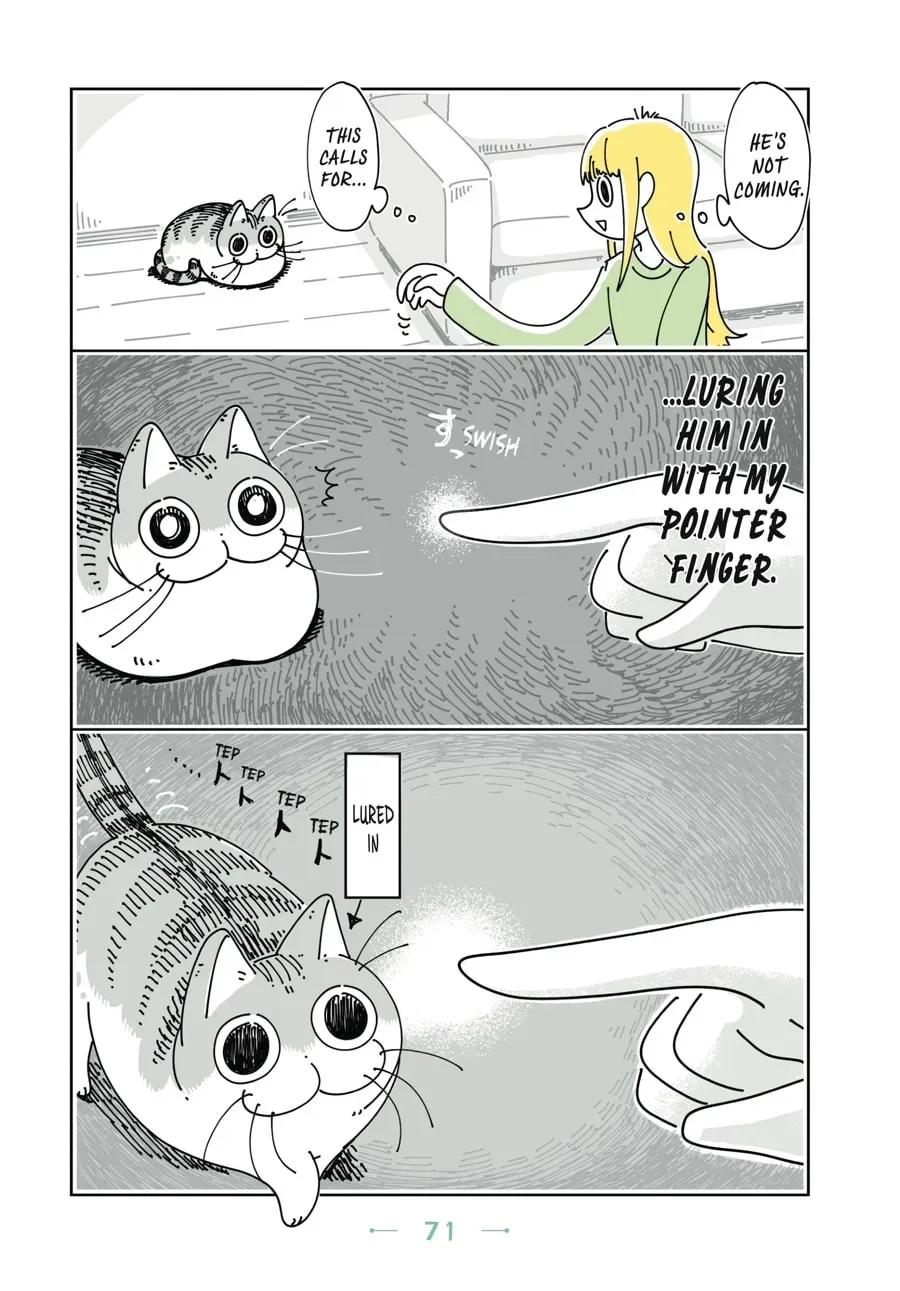 Read Nights With a Cat chapter 49 image 1 on Lezhin