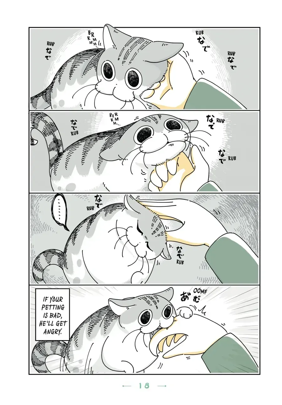 Read Nights With a Cat chapter 5.2 image 1 on Lezhin