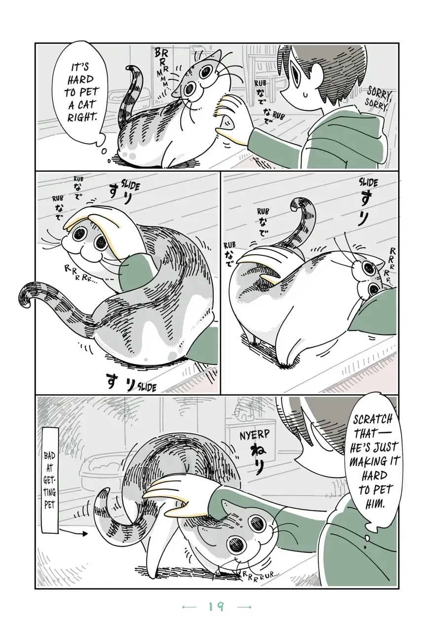 Read Nights With a Cat chapter 5.2 image 2 on Lezhin