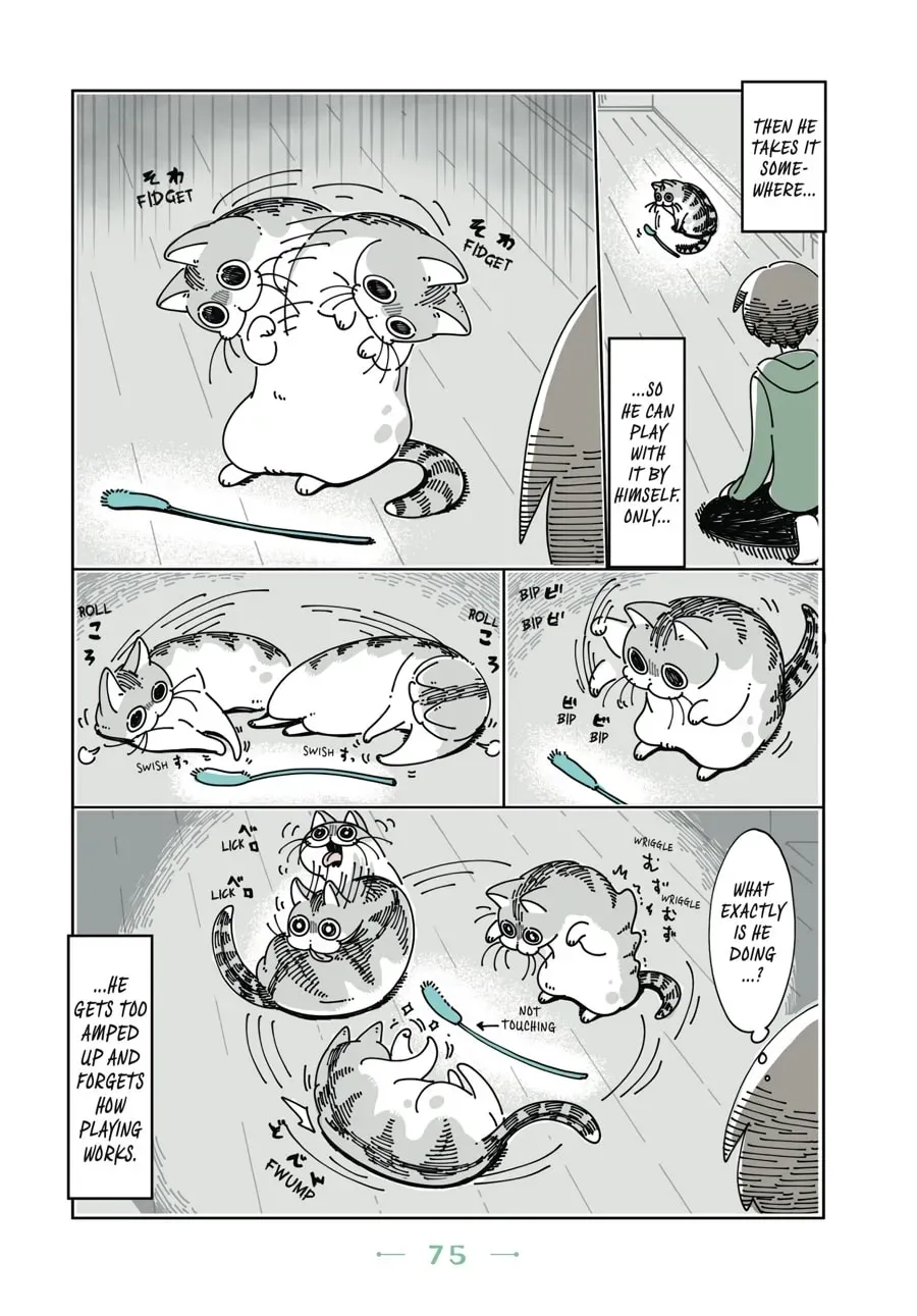 Read Nights With a Cat chapter 50 image 2 on Lezhin