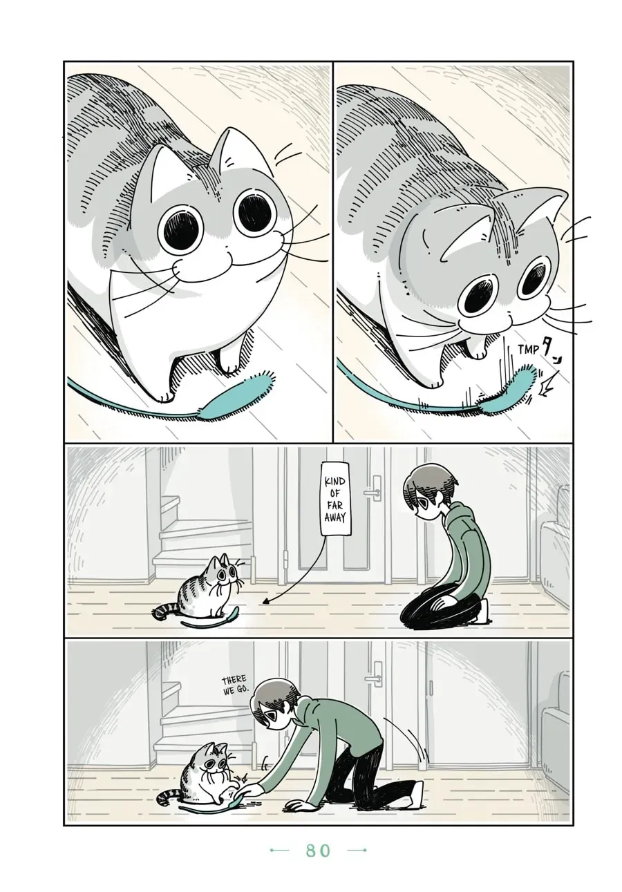 Read Nights With a Cat chapter 52 image 1 on Lezhin