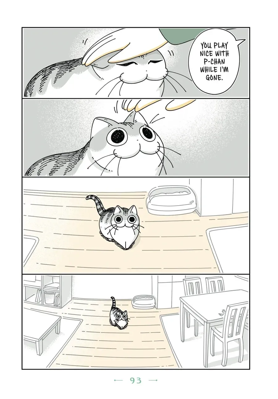 Read Nights With a Cat chapter 55 image 1 on Lezhin