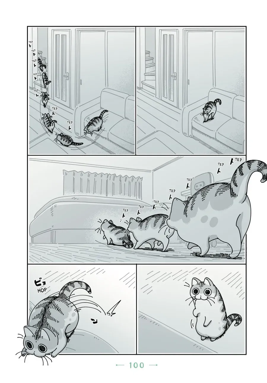 Read Nights With a Cat chapter 56 image 4 on Lezhin