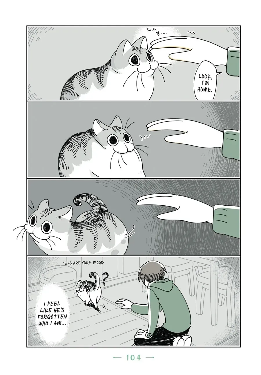 Read Nights With a Cat chapter 57 image 2 on Lezhin