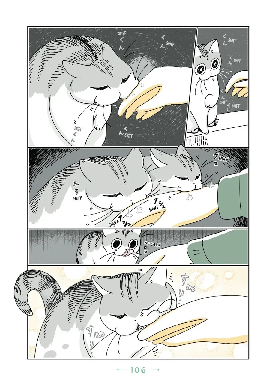 Read Nights With a Cat chapter 57 image 4 on Lezhin