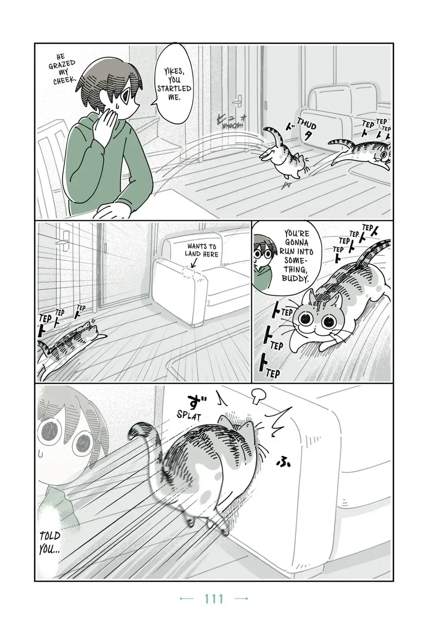 Read Nights With a Cat chapter 58 image 3 on Lezhin