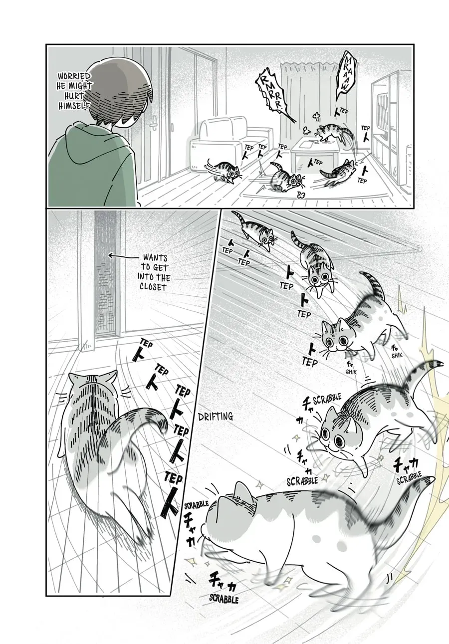 Read Nights With a Cat chapter 58 image 4 on Lezhin