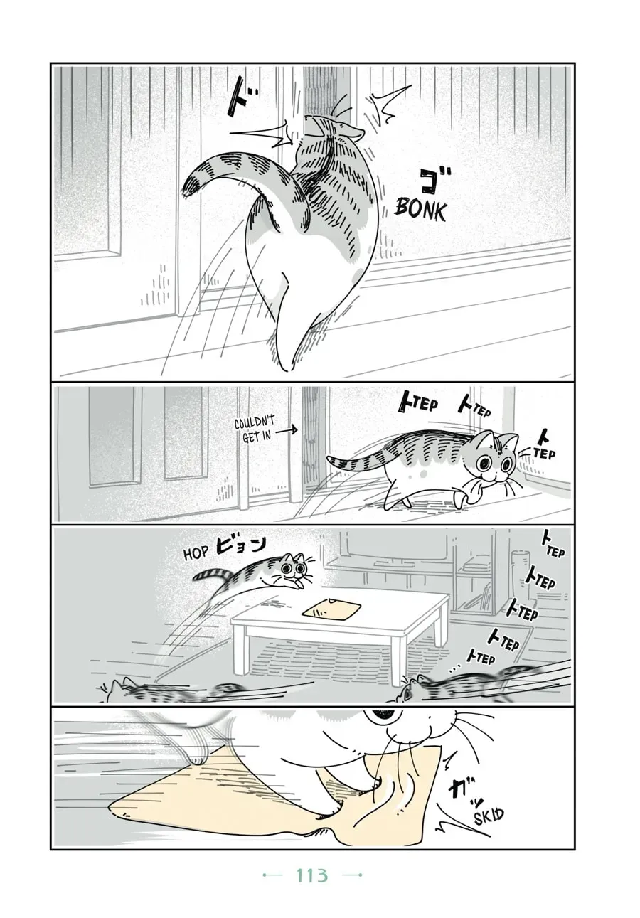 Read Nights With a Cat chapter 58 image 5 on Lezhin