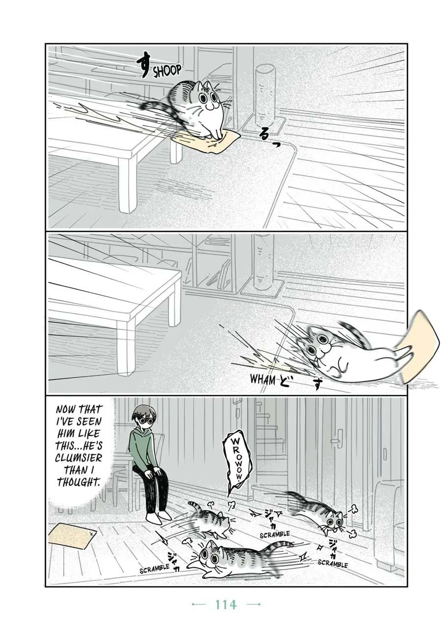 Read Nights With a Cat chapter 58 image 6 on Lezhin