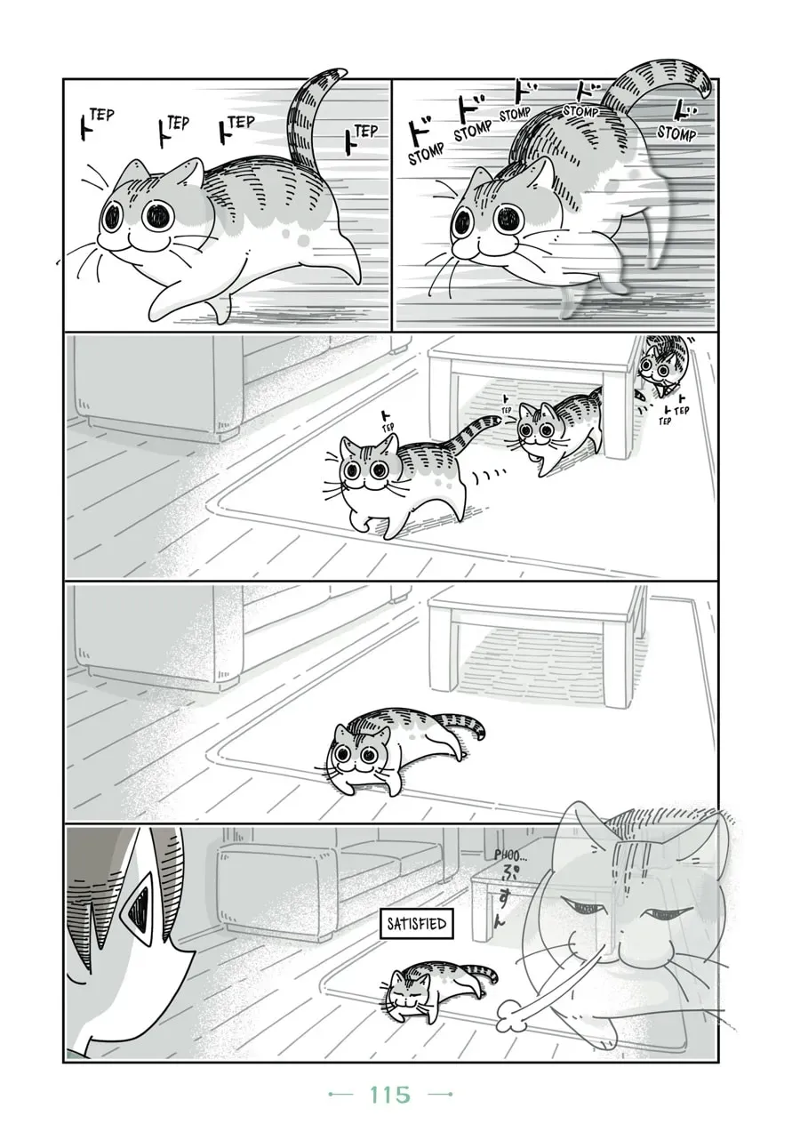Read Nights With a Cat chapter 58 image 7 on Lezhin