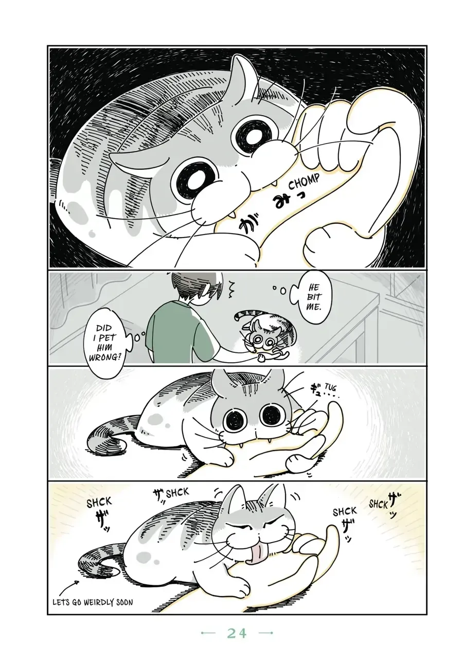 Read Nights With a Cat chapter 6.1 image 1 on Lezhin