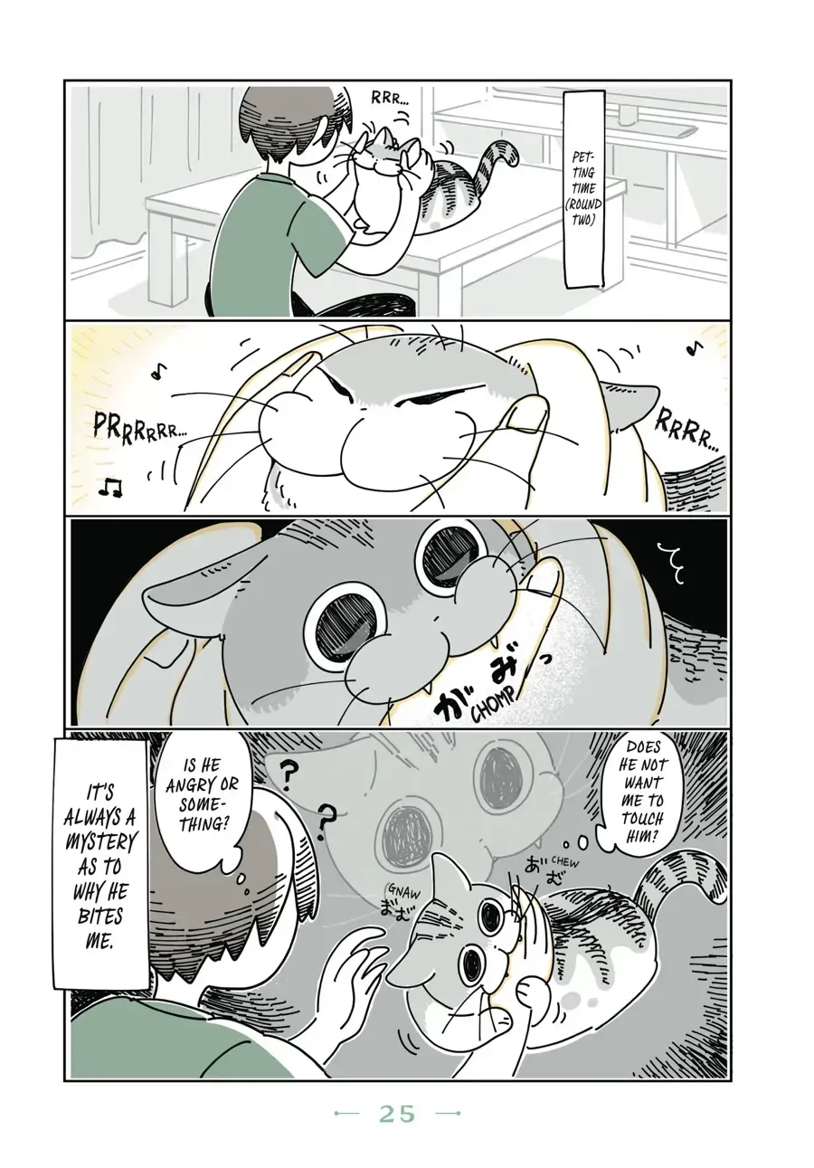 Read Nights With a Cat chapter 6.1 image 2 on Lezhin