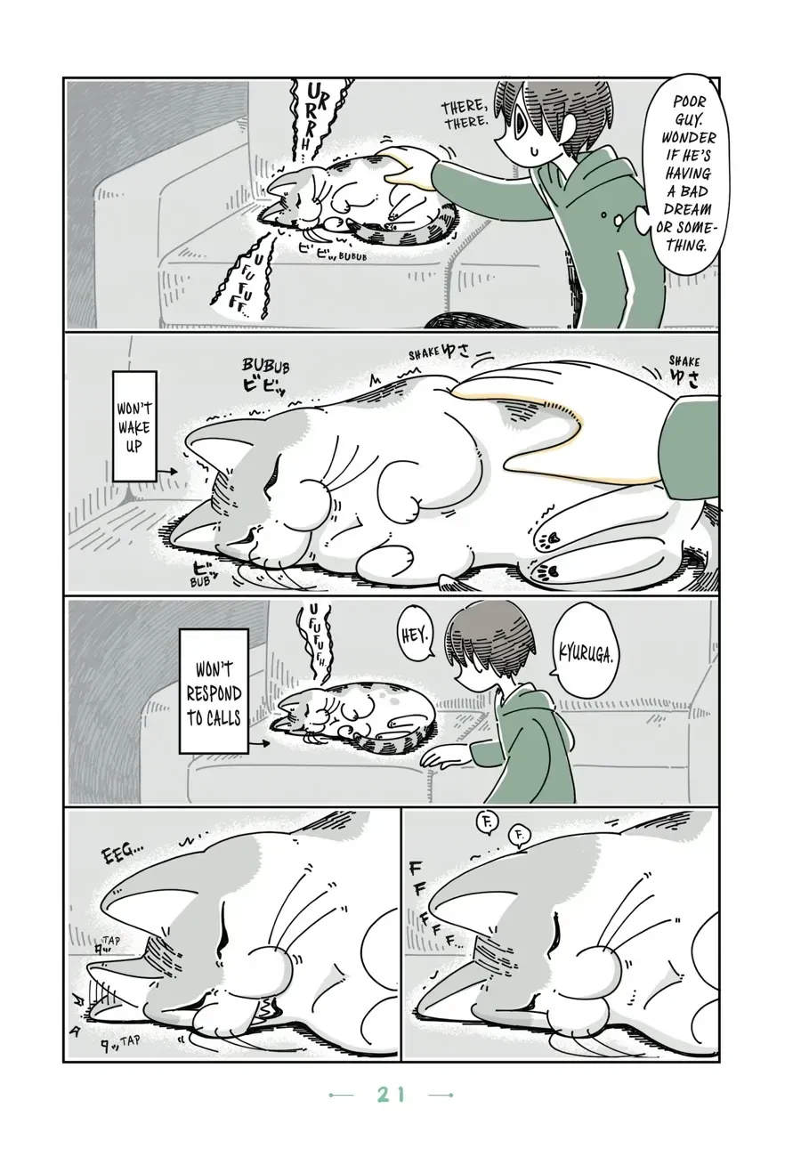 Read Nights With a Cat chapter 6.2 image 1 on Lezhin