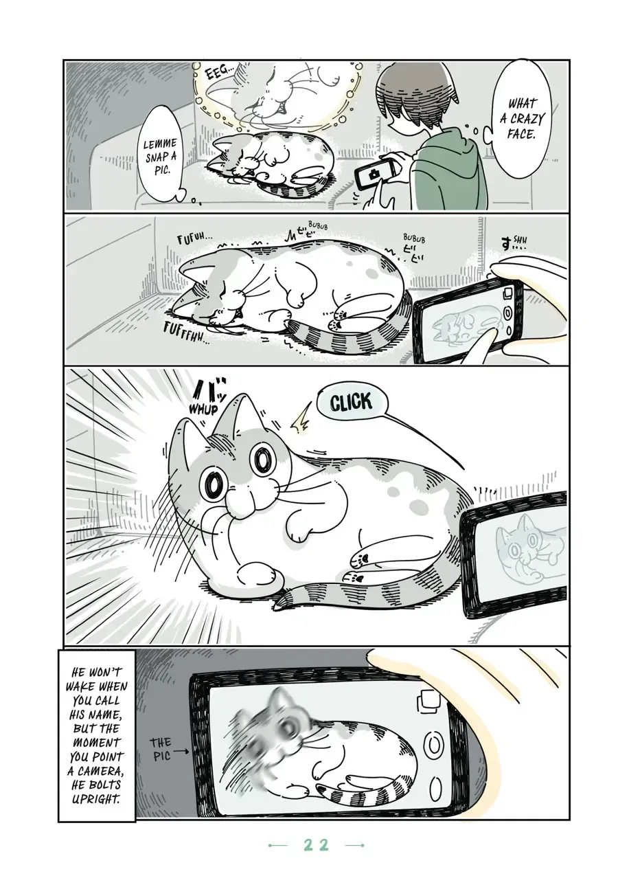 Read Nights With a Cat chapter 6.2 image 2 on Lezhin