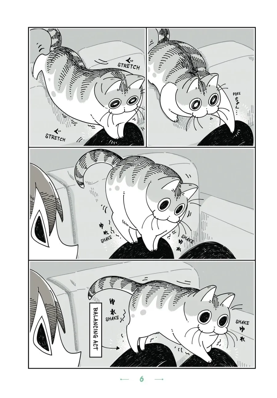 Read Nights With a Cat chapter 60 image 6 on Lezhin