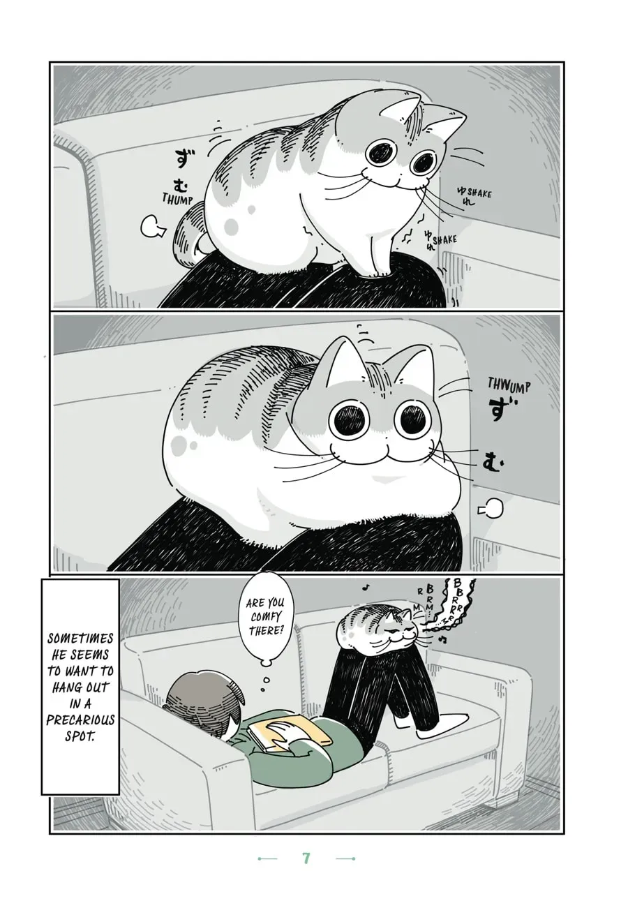 Read Nights With a Cat chapter 60 image 7 on Lezhin
