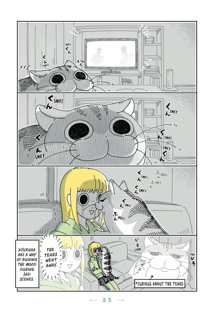 Read Nights With a Cat chapter 71 image 1 on Lezhin