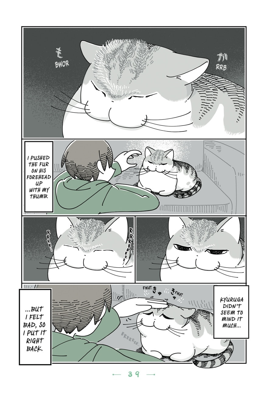 Read Nights With a Cat chapter 73 image 1 on Lezhin
