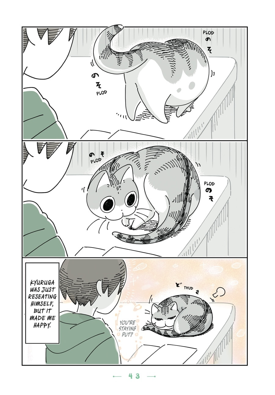 Read Nights With a Cat chapter 75 image 1 on Lezhin