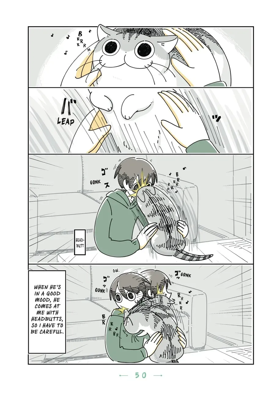 Read Nights With a Cat chapter 78 image 2 on Lezhin
