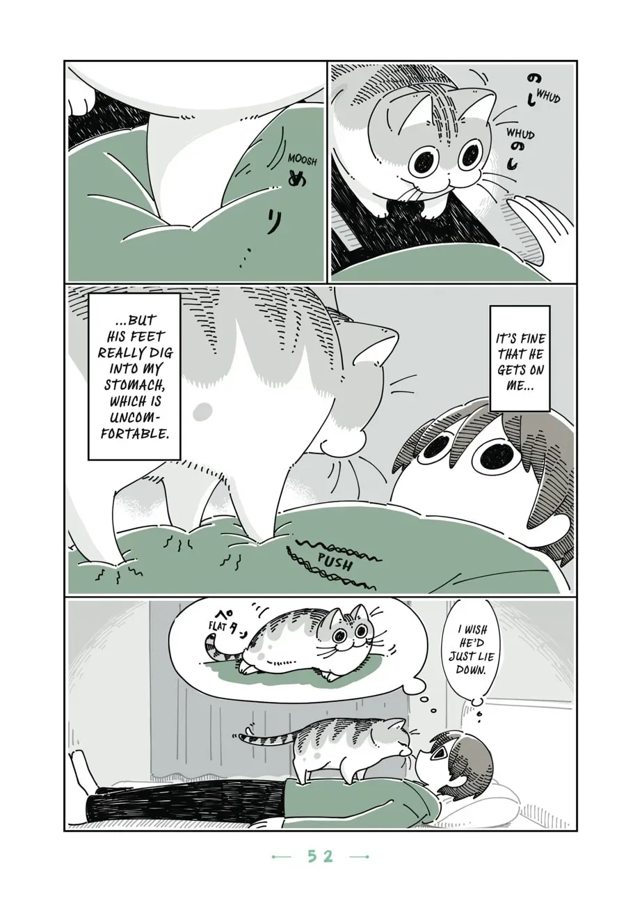 Read Nights With a Cat chapter 79 image 1 on Lezhin