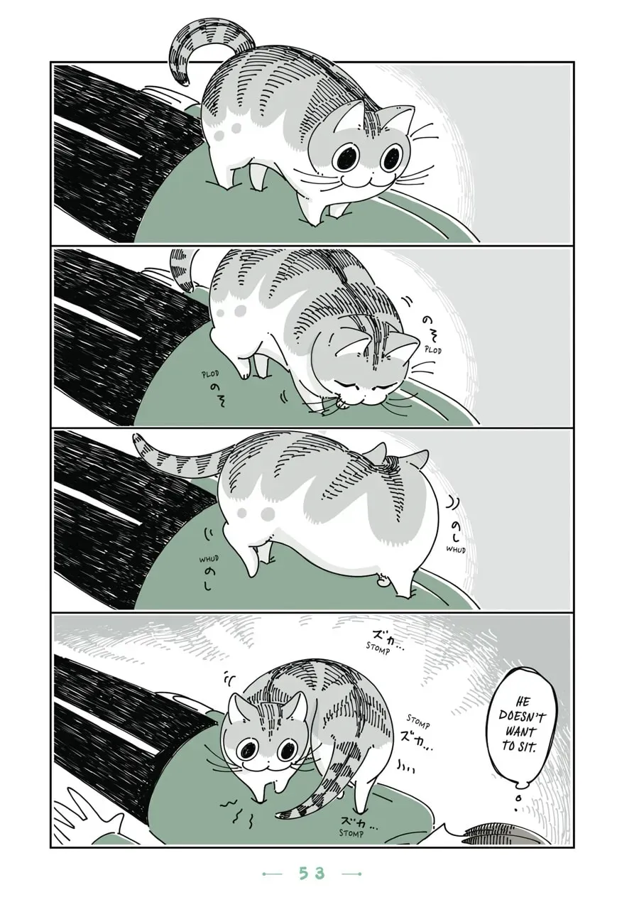 Read Nights With a Cat chapter 79 image 2 on Lezhin