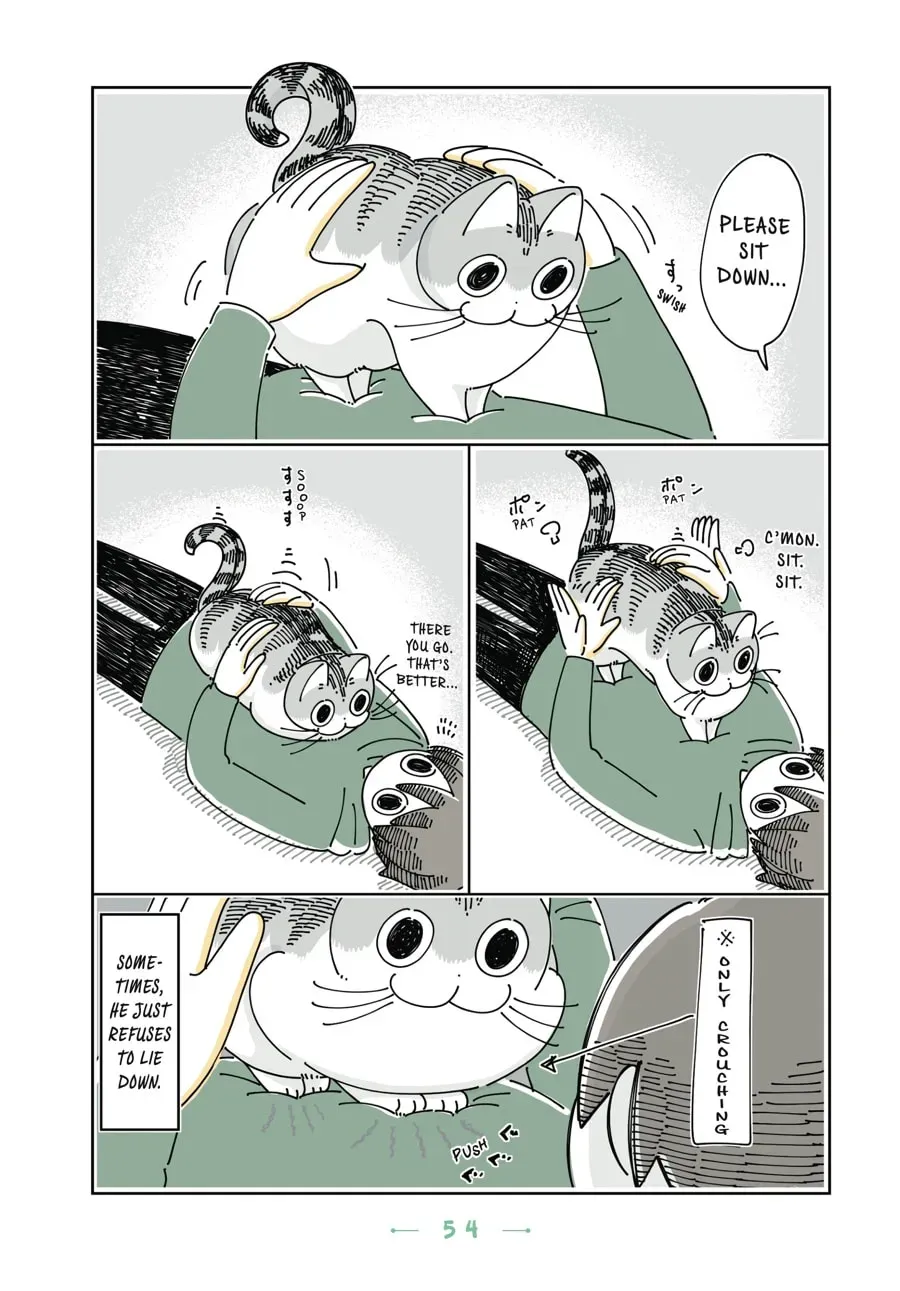 Read Nights With a Cat chapter 79 image 3 on Lezhin