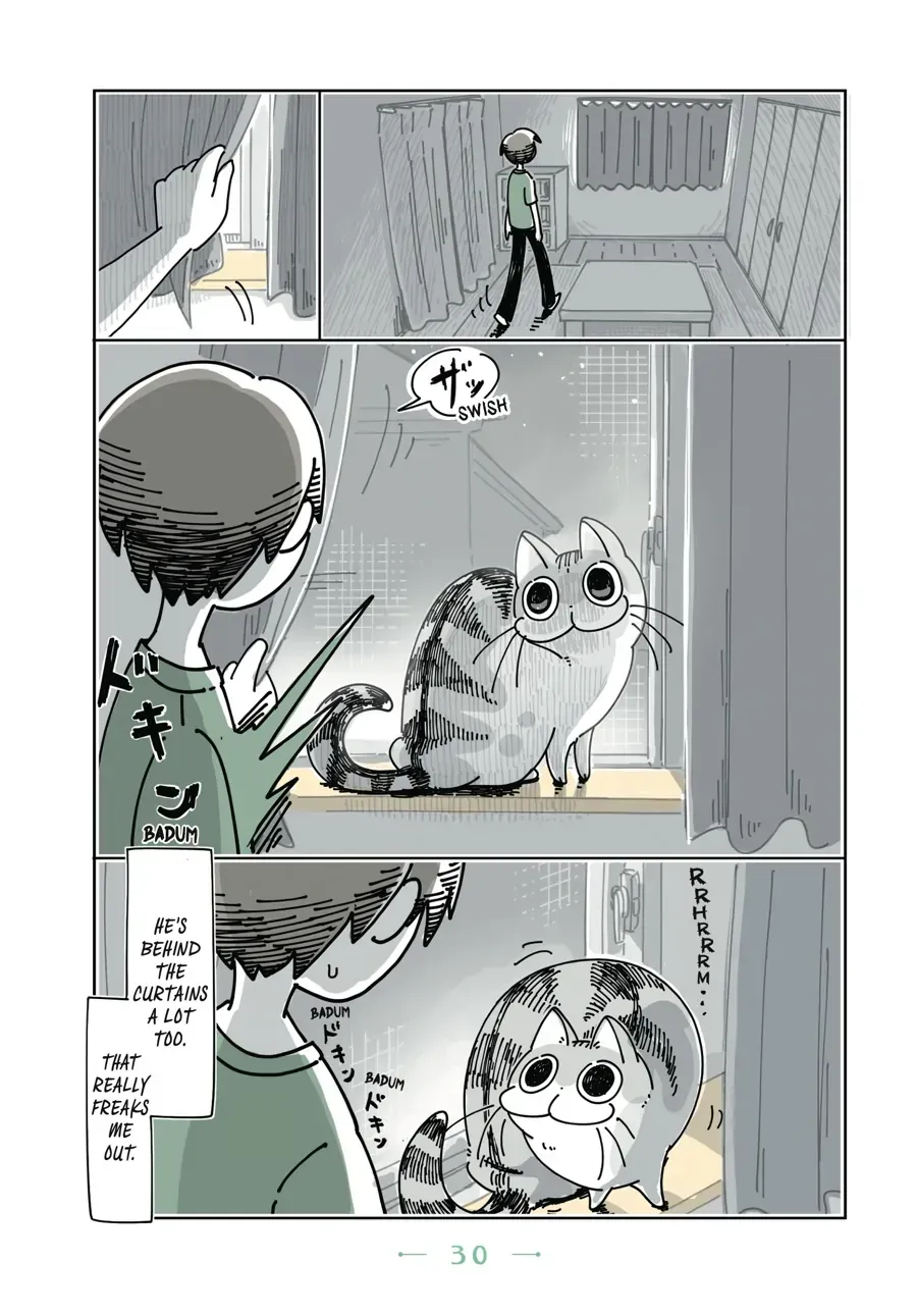 Read Nights With a Cat chapter 8.1 image 1 on Lezhin