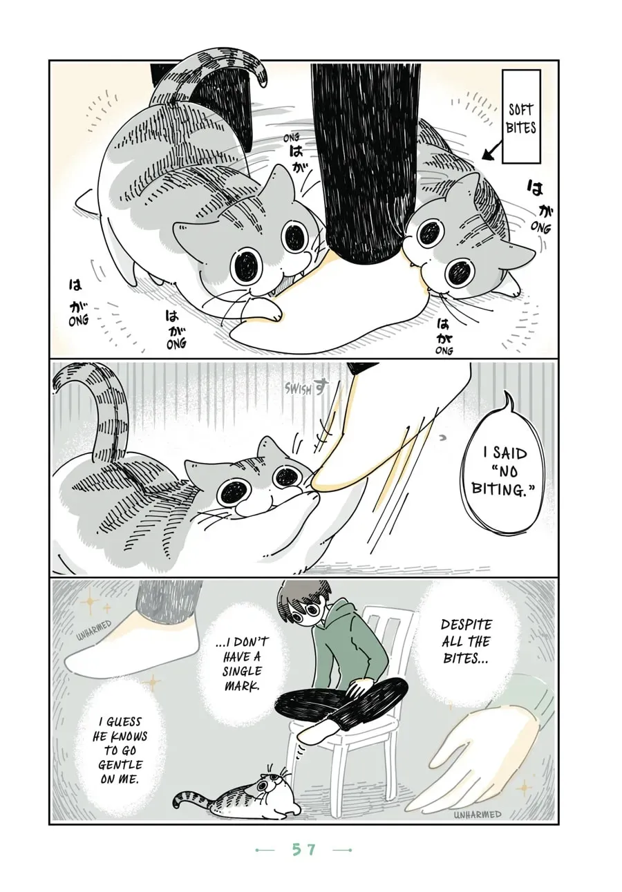 Read Nights With a Cat chapter 80 image 2 on Lezhin