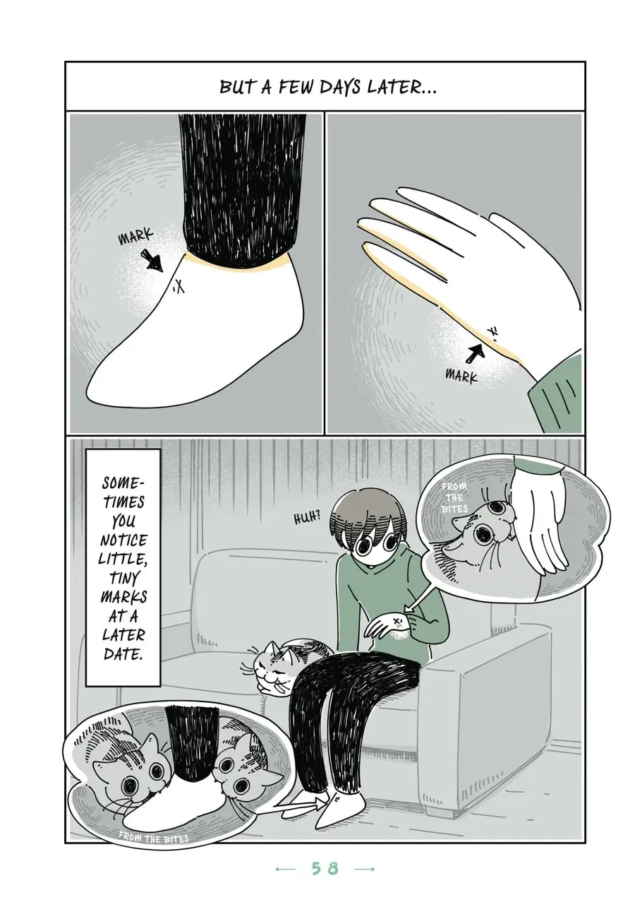 Read Nights With a Cat chapter 80 image 3 on Lezhin