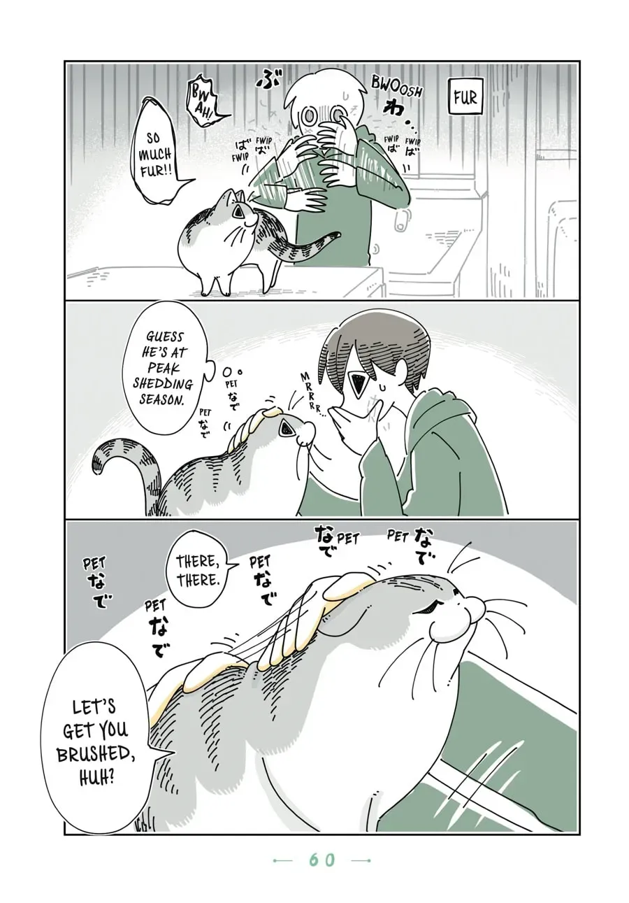 Read Nights With a Cat chapter 81 image 1 on Lezhin