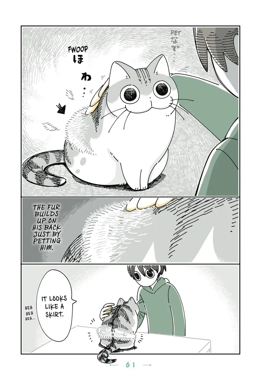 Read Nights With a Cat chapter 81 image 2 on Lezhin