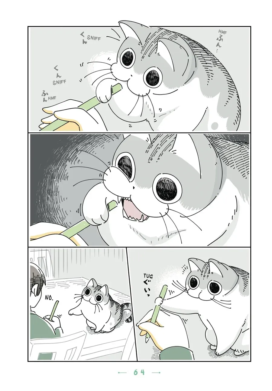 Read Nights With a Cat chapter 82 image 1 on Lezhin