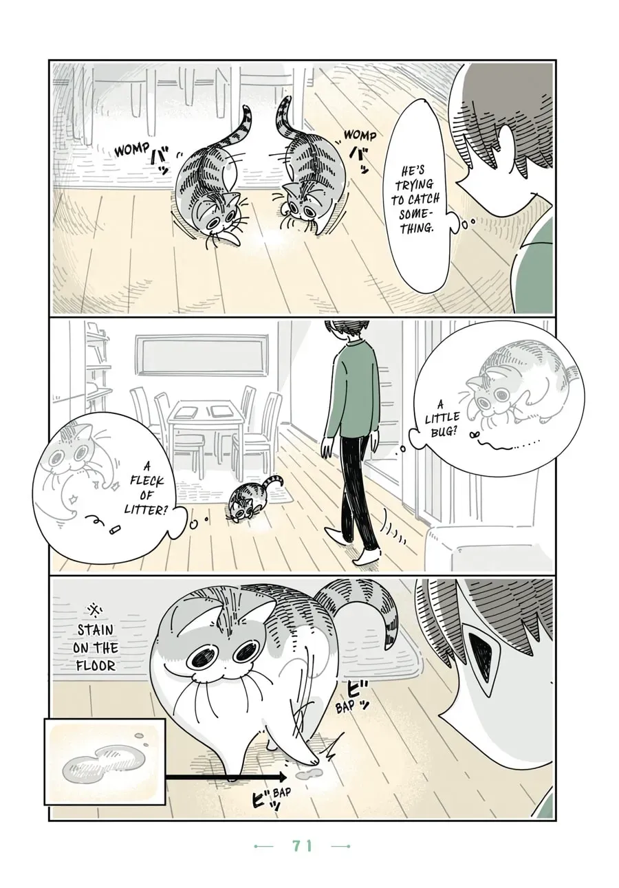 Read Nights With a Cat chapter 84 image 1 on Lezhin