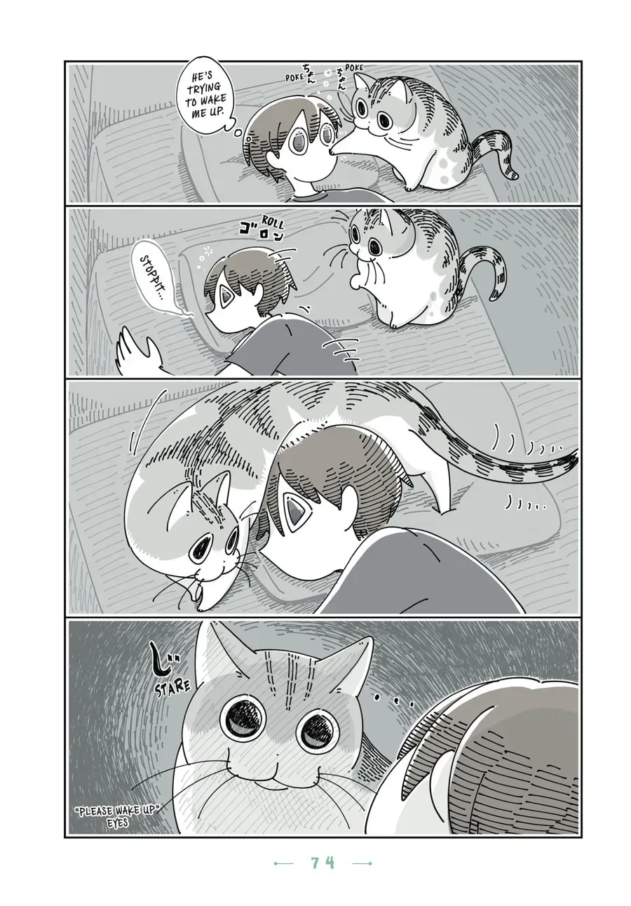 Read Nights With a Cat chapter 85 image 1 on Lezhin